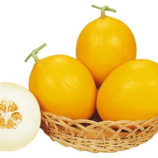 ALL_catalog_25L02_vJQlY2V3jY