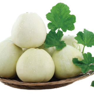 ALL_catalog_25L02_yFSOaiPwlN