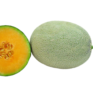 ALL_catalog_25L03_3Wgz6kVIYi