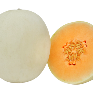 ALL_catalog_25L03_4v58IWHhfU