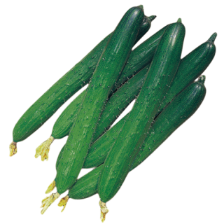 ALL_catalog_25L03_KMawBOFInT