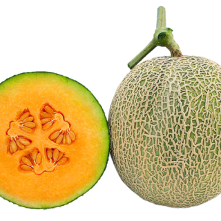 ALL_catalog_25L03_OZvHGojhKp