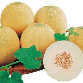 ALL_catalog_25L03_Y1VtRVOLEc