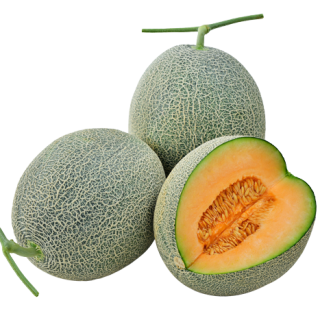 ALL_catalog_25L03_fyADv7baW9