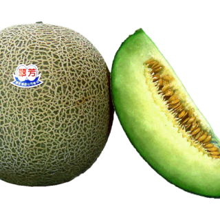 ALL_catalog_25L03_gF55c0wUch