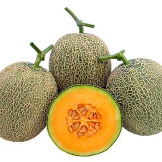 ALL_catalog_25L03_m8E4SeFxb6