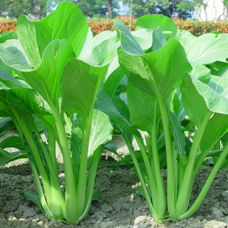 ALL_catalog_25L04_0h2koMccYI