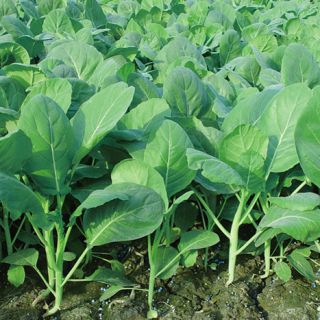 ALL_catalog_25L04_1EIxAPnqMV