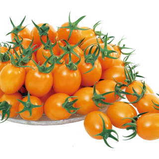 ALL_catalog_25L04_3eYVmqZSy2