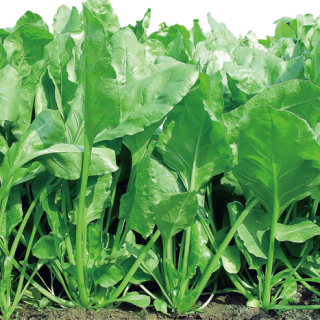 ALL_catalog_25L04_4vDT6j2vX8