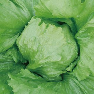 ALL_catalog_25L04_4z147KjFPx