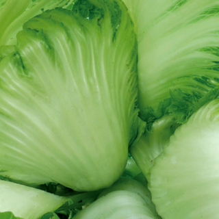 ALL_catalog_25L04_6KK6tJFp8i