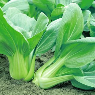 ALL_catalog_25L04_7HZ7Xt9f1c