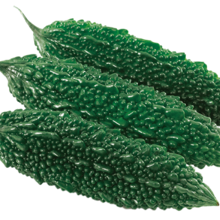 ALL_catalog_25L04_96LZKn9fw6