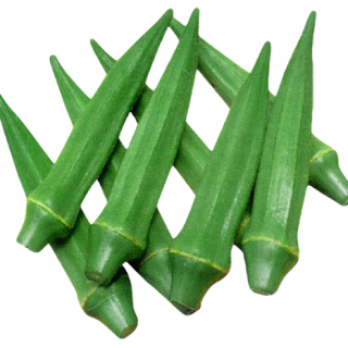 ALL_catalog_25L04_9TxxrbndEL