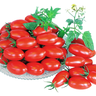 ALL_catalog_25L04_DaQkBYl5dR