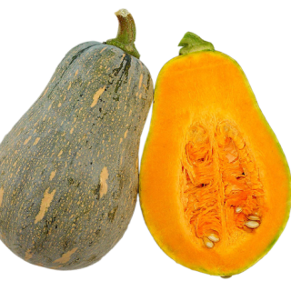 ALL_catalog_25L04_F2vP1g3clt