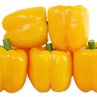 ALL_catalog_25L04_HHN9UOTT5V