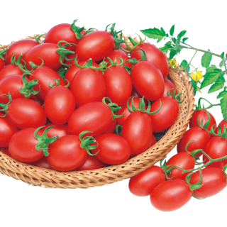 ALL_catalog_25L04_HiR9Xv3jbL