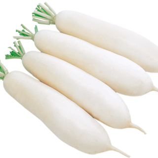 ALL_catalog_25L04_HpMzQ2QTw2