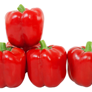 ALL_catalog_25L04_NCRQXHDWNV