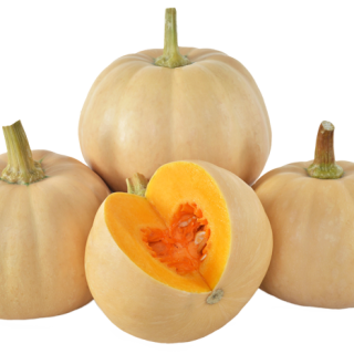 ALL_catalog_25L04_PTld64UYrH