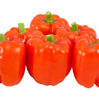 ALL_catalog_25L04_RdGkxxGqwf