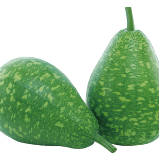 ALL_catalog_25L04_VMCEFOxb7r