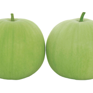 ALL_catalog_25L04_XP5FXZmtVP