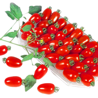 ALL_catalog_25L04_XWs1bGFry8