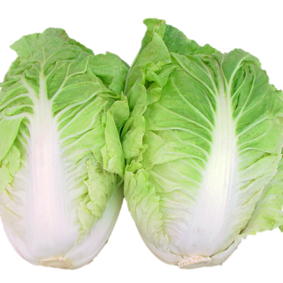 ALL_catalog_25L04_apOfN3c5bU