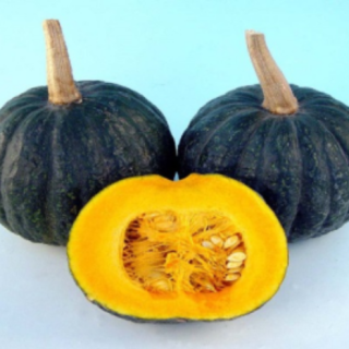 ALL_catalog_25L04_bSoESPYke8