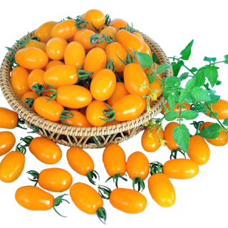 ALL_catalog_25L04_c1TnyvDHrd