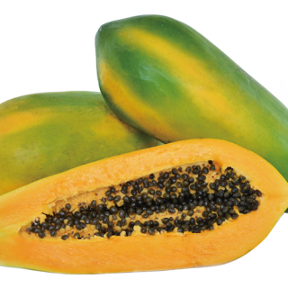 ALL_catalog_25L04_cvgRHQdVip