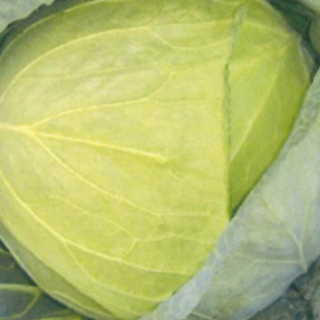 ALL_catalog_25L04_dHjoqA25s3