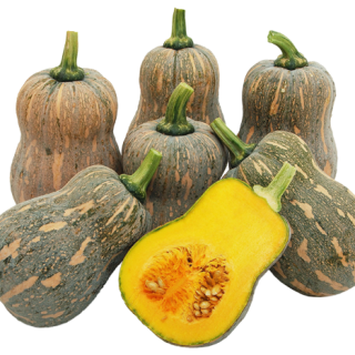 ALL_catalog_25L04_hWC6zo4OTJ