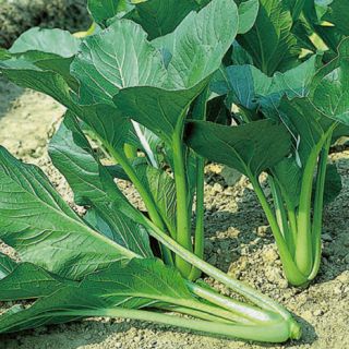 ALL_catalog_25L04_j4qNJcow9J