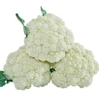 ALL_catalog_25L04_khVYW8AHvr