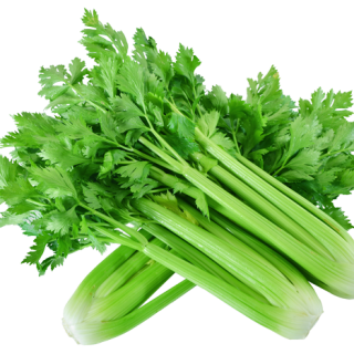 ALL_catalog_25L04_mQXkIJEe5V