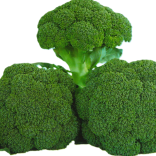 ALL_catalog_25L04_tFvTtcZzHm