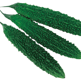 ALL_catalog_25L04_taloQycsbu