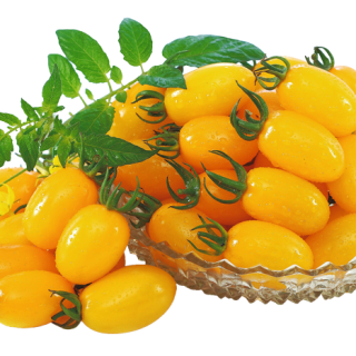 ALL_catalog_25L04_tl9CFZvzRg