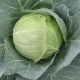 ALL_catalog_25L04_wKjQ8aK0TE