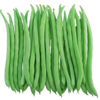 ALL_catalog_25L04_wPIuEK02PG