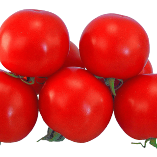 ALL_catalog_25L04_wQkM3LWC7I