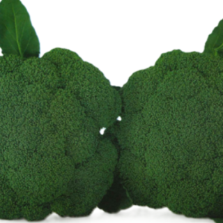 ALL_catalog_25L04_xk56GLbABh