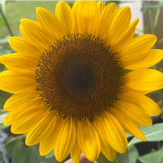 ALL_catalog_25L04_zK84sg82vR