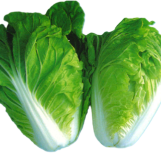 ALL_catalog_25L05_7hiSr7fryE