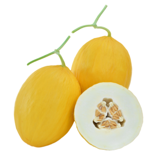 ALL_catalog_25L15_xfY9eXfWVk