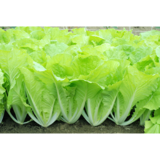 ALL_catalog_26C12_GLlCAJgXZw